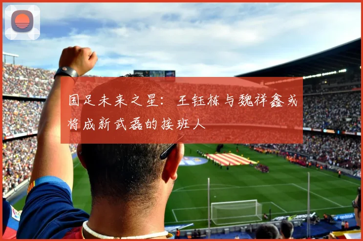 国足未来之星：王钰栋与魏祥鑫或将成新武磊的接班人