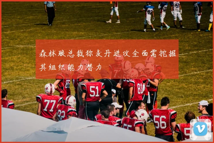 森林狼总裁称麦丹进攻全面需挖掘其组织能力潜力