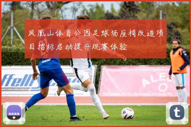 凤凰山体育公园足球场座椅改造项目招标启动提升观赛体验